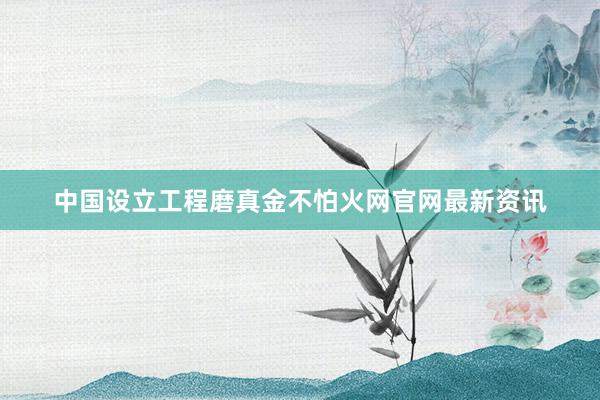 中国设立工程磨真金不怕火网官网最新资讯